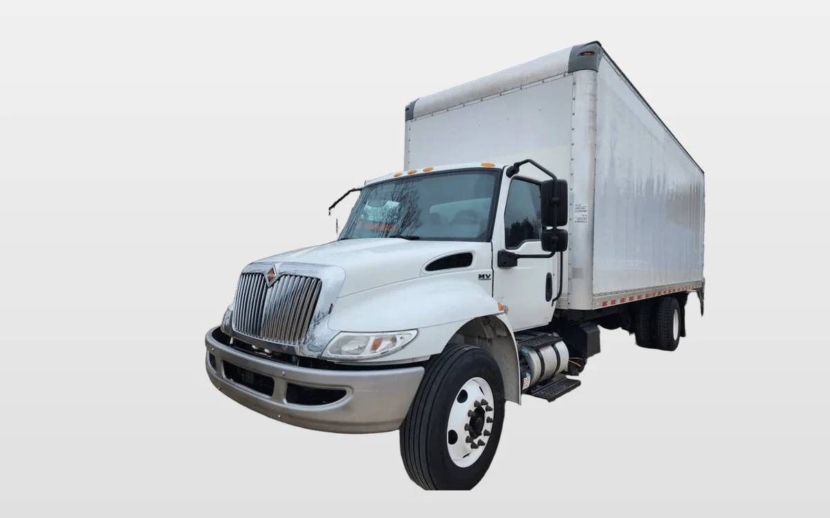 2020 International - image 1