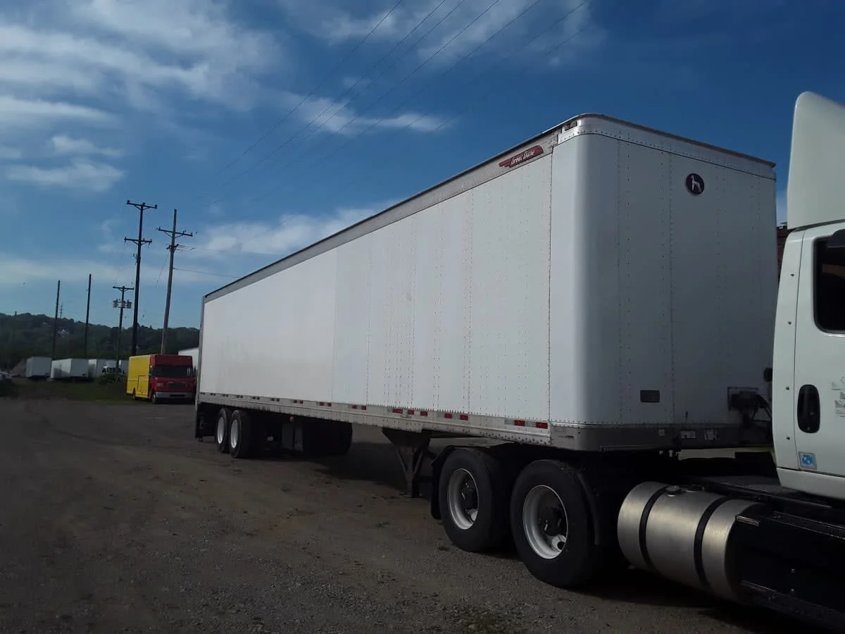 2015 Great Dane - image 3