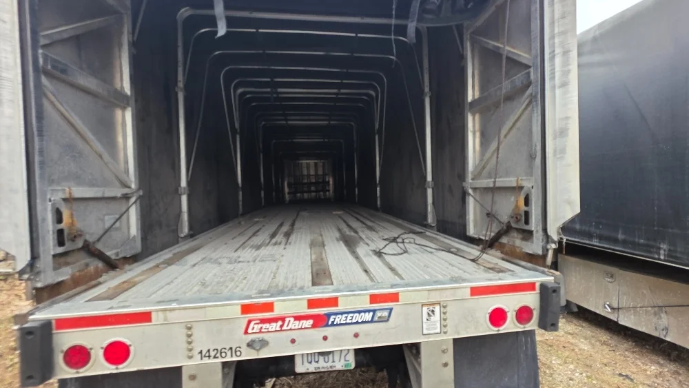 2016 Great Dane - image 8