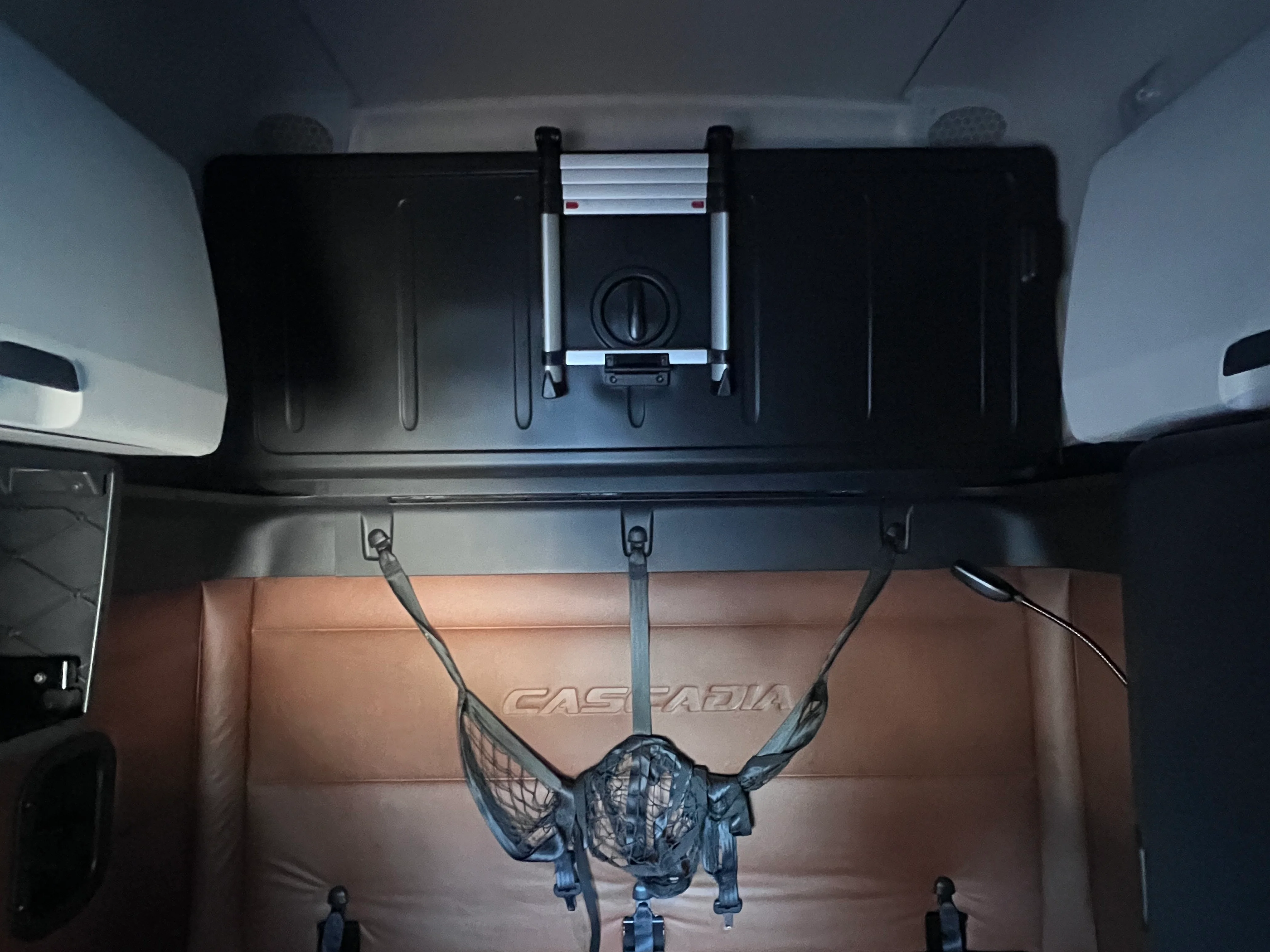 2020 Freightliner Cascadia in Nashville Isuzu, TN — photo 21