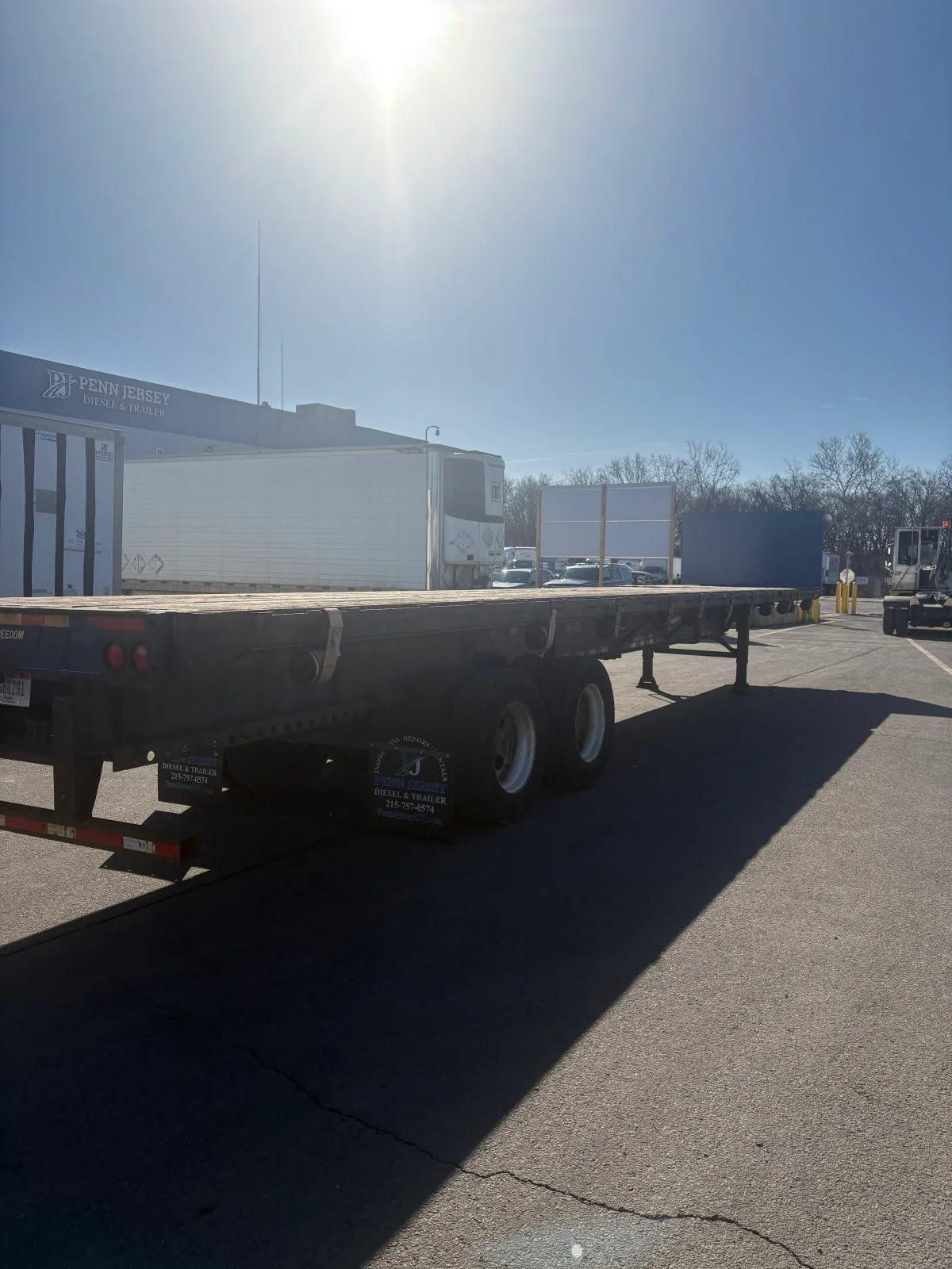 2016 Great Dane - image 6