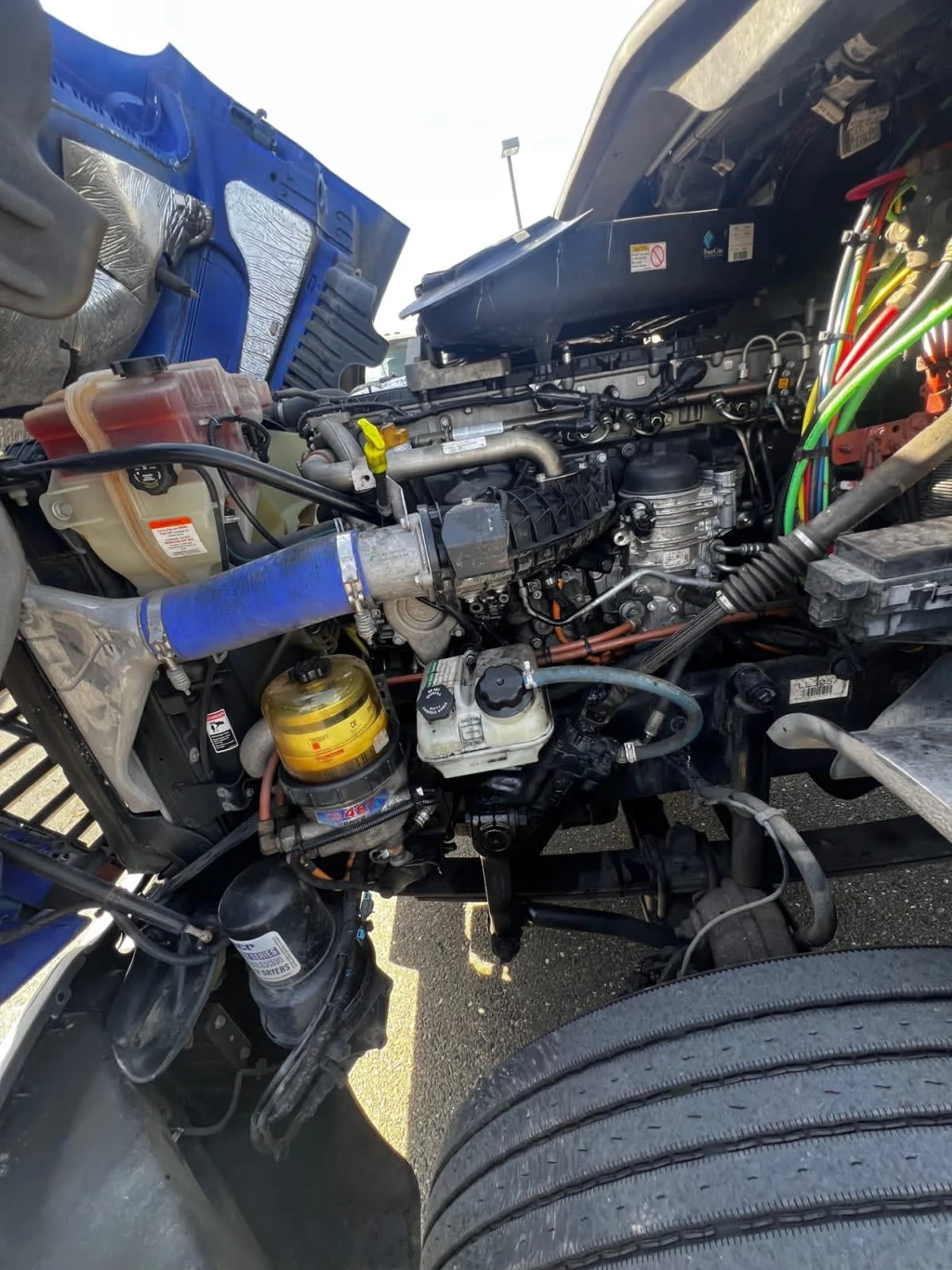 2020 Freightliner Cascadia in West Sacramento, CA — photo 8