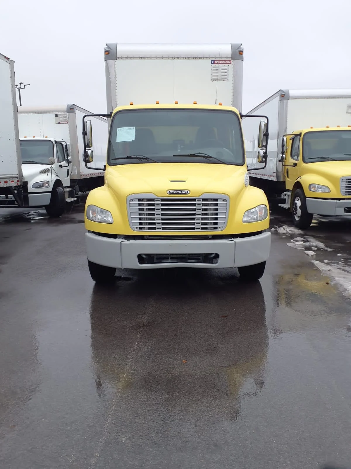 2016 Freightliner M2 106 - image 2