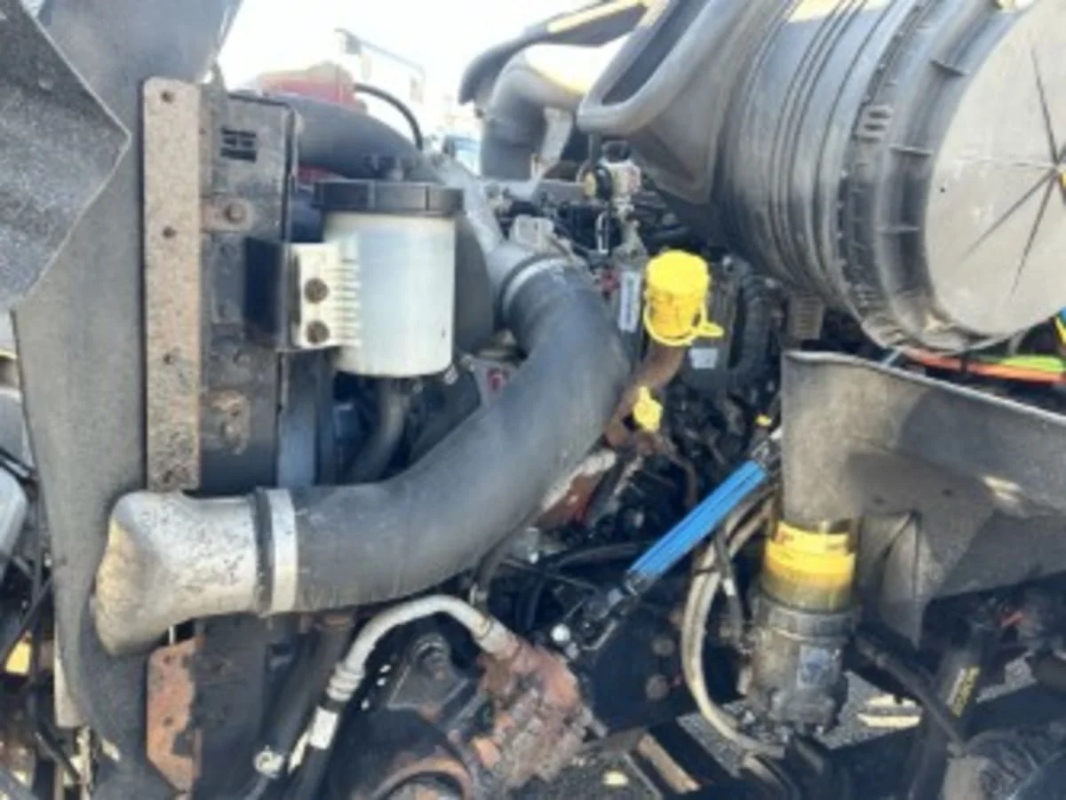 2019 International RH - image 8