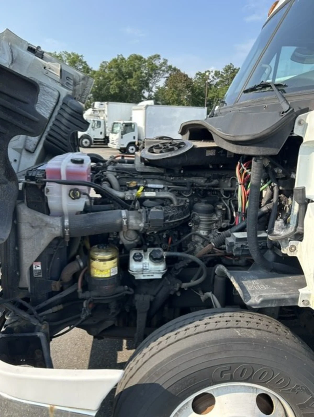 2019 Freightliner Cascadia in Farmingdale, NY — photo 8