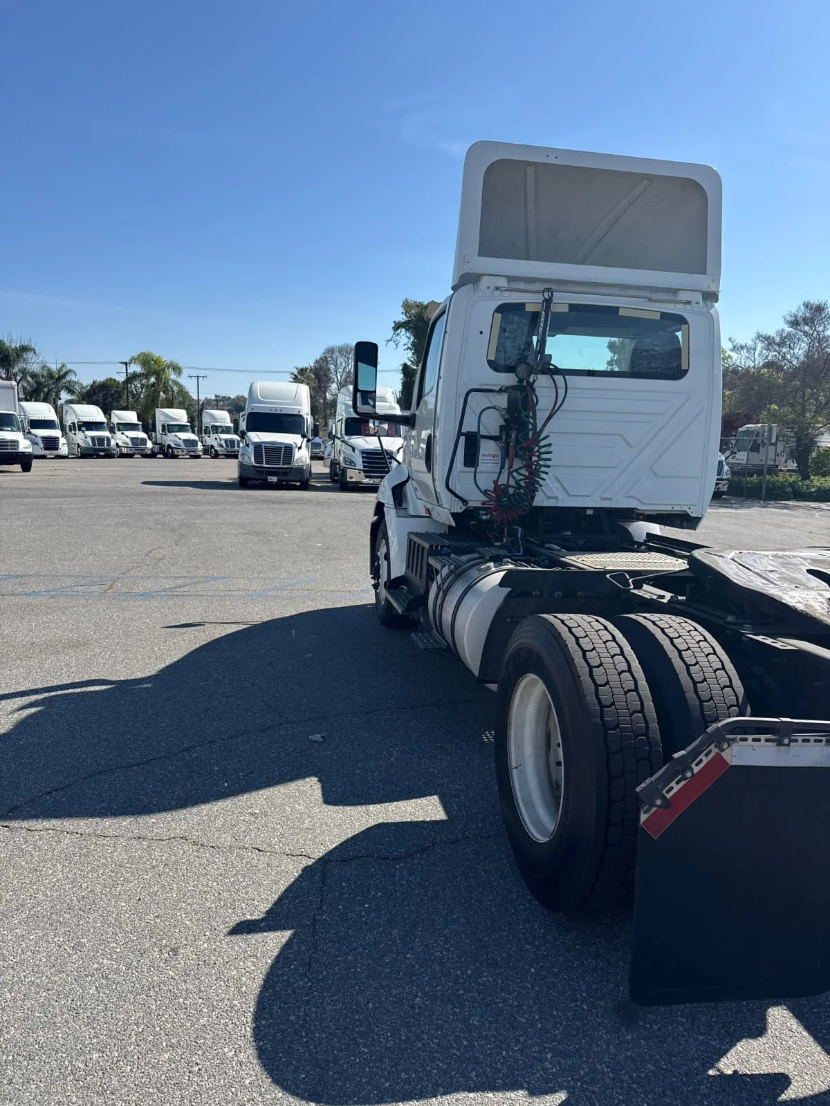 2019 International RH - image 4