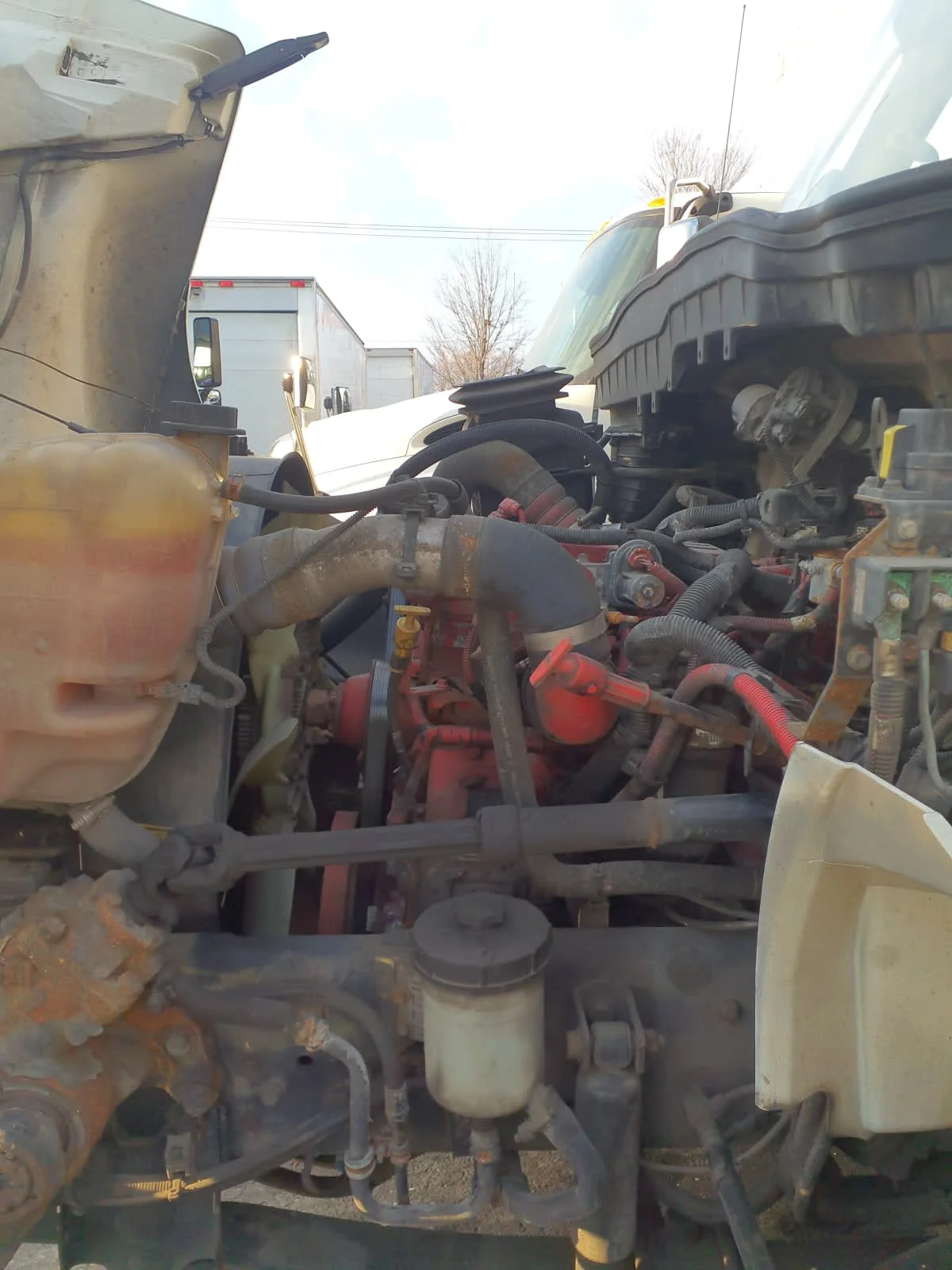 2019 International MV in Bolingbrook, IL — photo 10