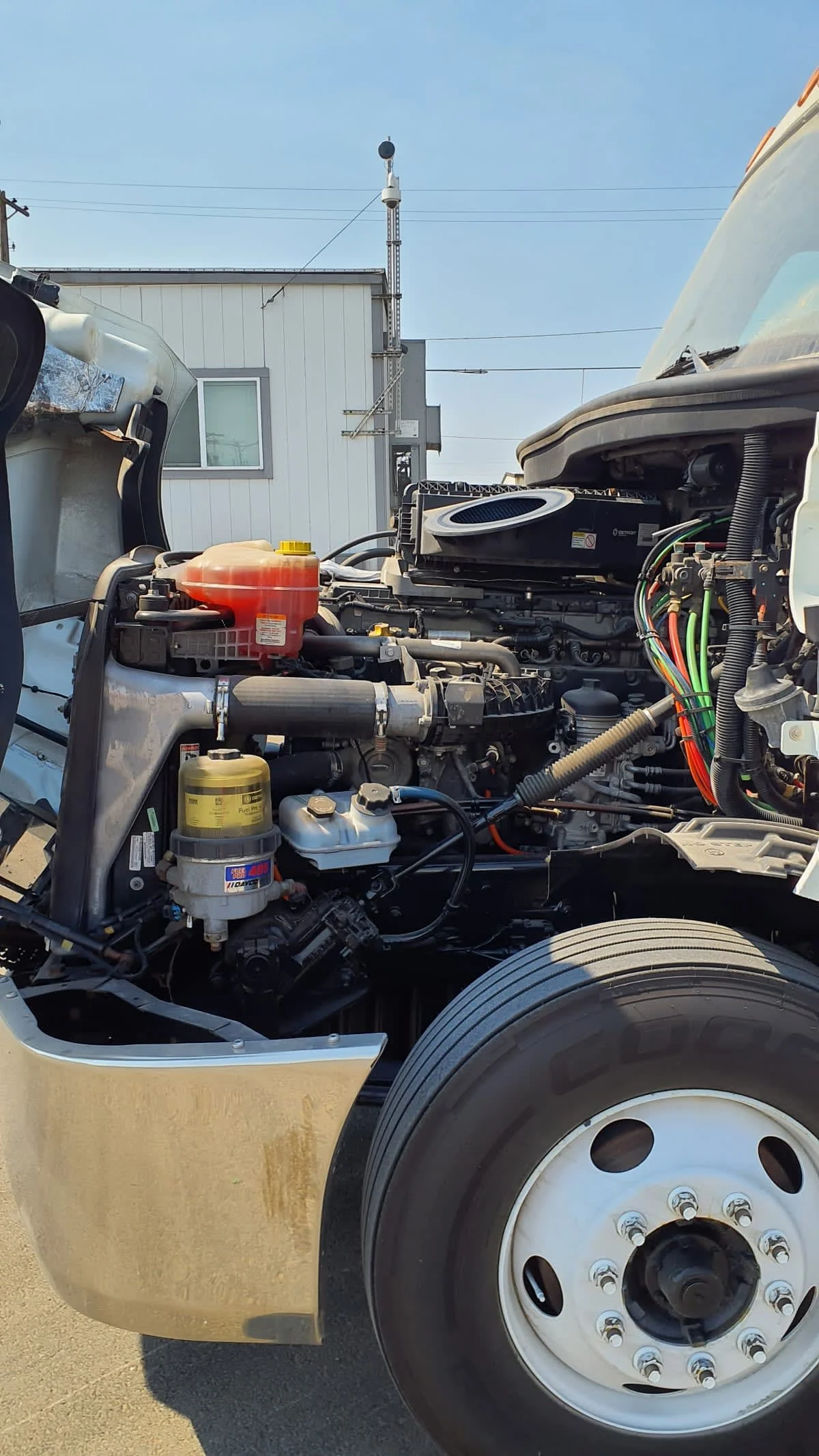 2019 Freightliner Cascadia in Tacoma, WA — photo 8