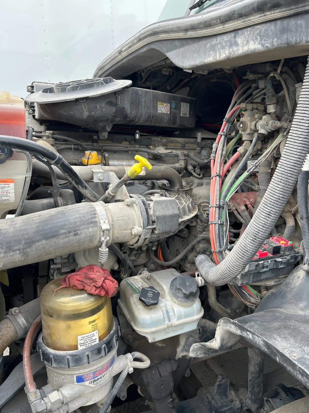 2019 Freightliner Cascadia in Houston, TX — photo 6