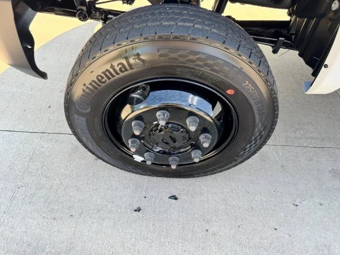 2025 International - image 11