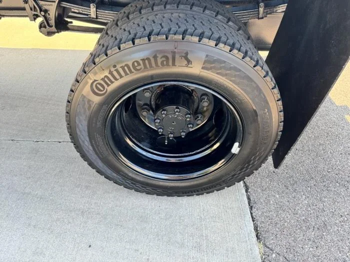 2025 International - image 10