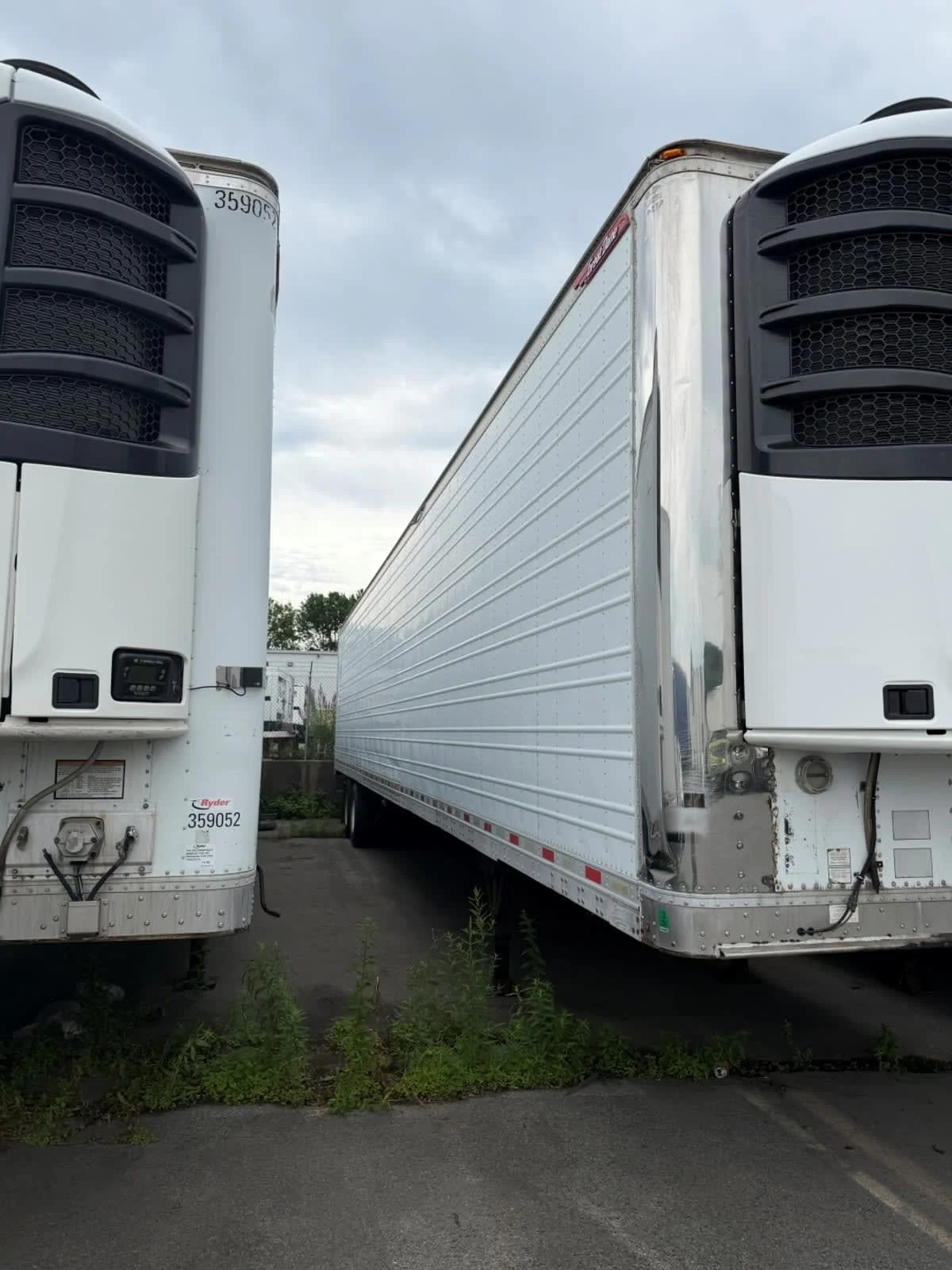 2015 Great Dane in Beltsville, MD
