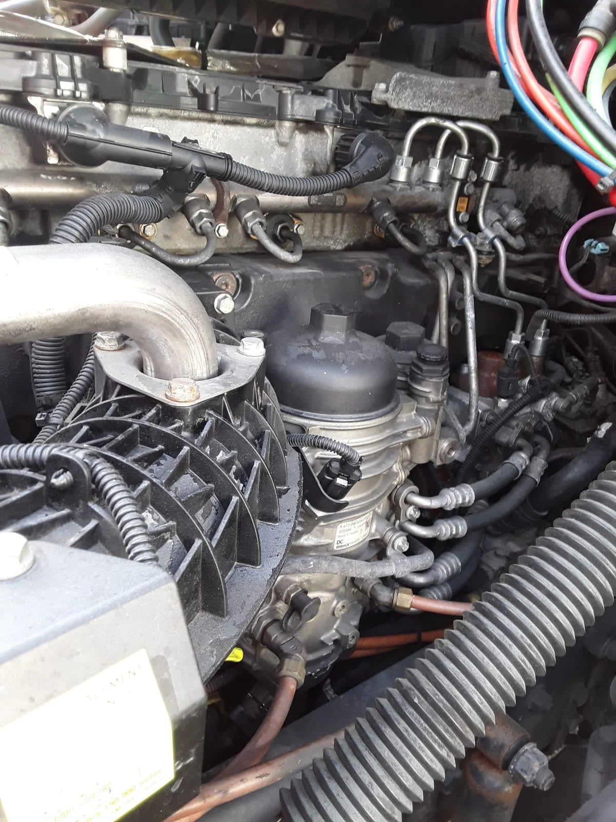 2020 Freightliner Cascadia in La Vergne, TN — photo 10