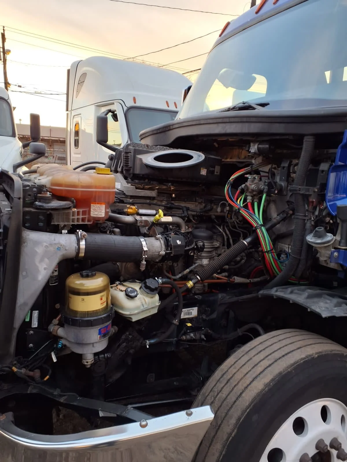 2019 Freightliner Cascadia in Kearny, NJ — photo 8