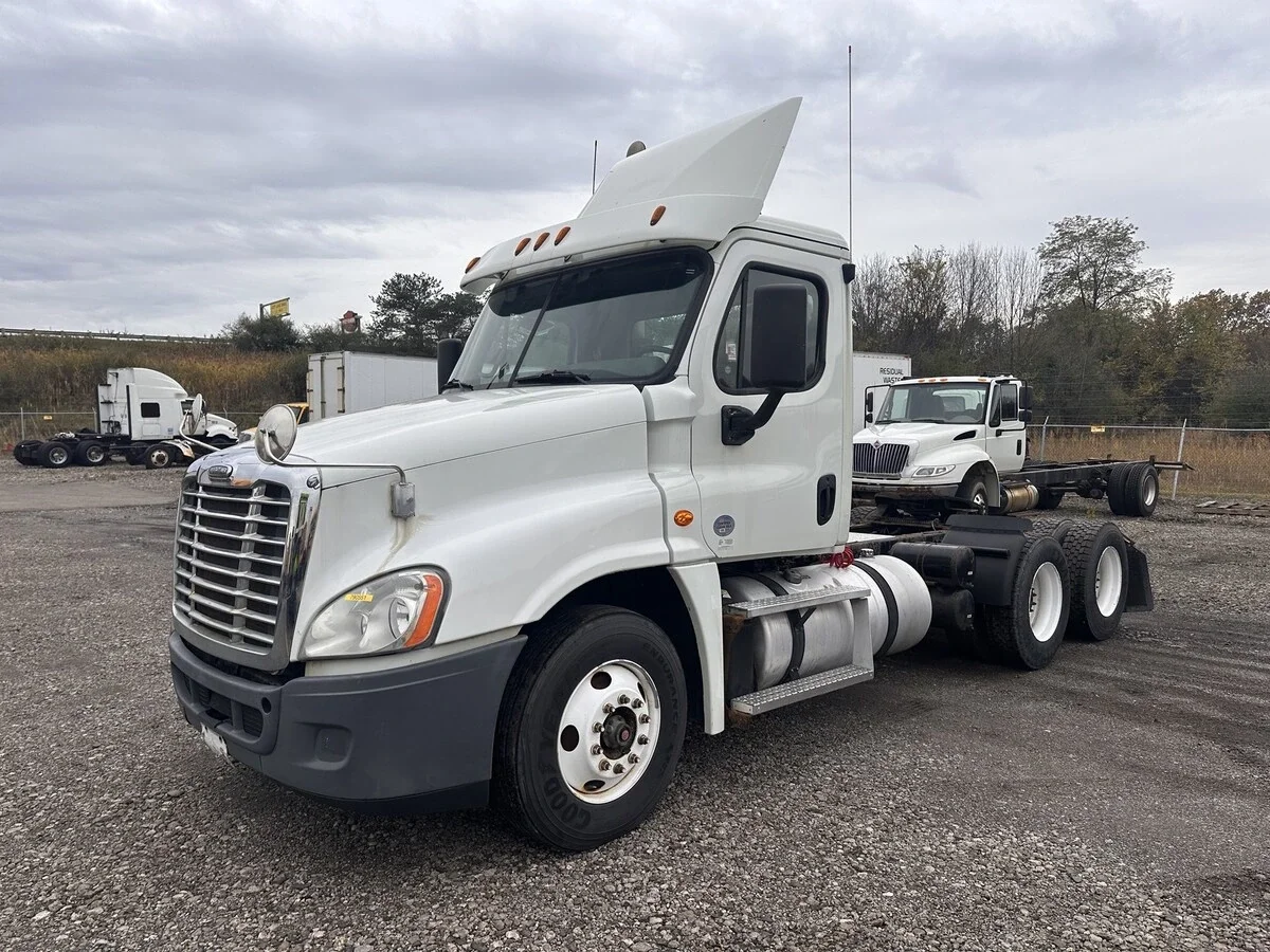 2019 Freightliner Cascadia in Youngstown, OH
