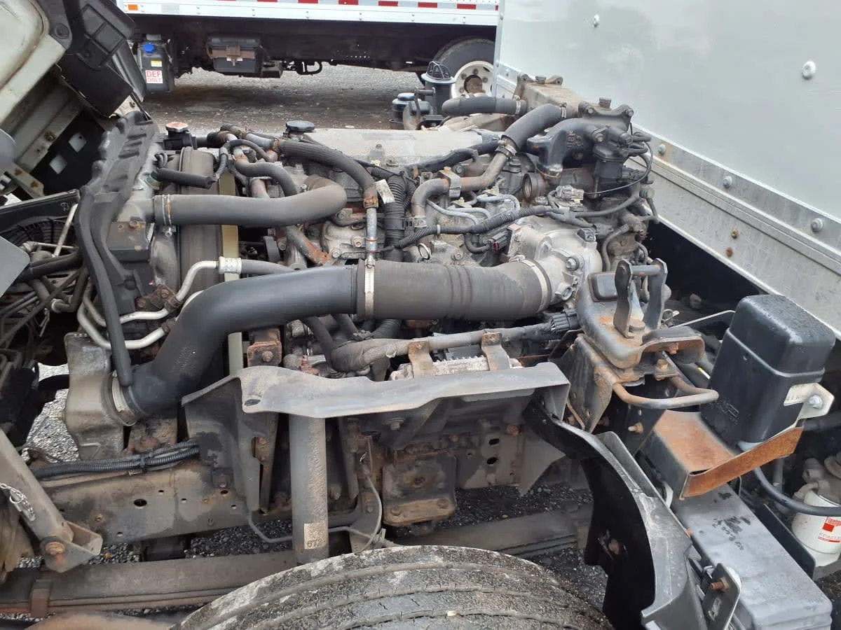 2019 Isuzu NQR in Bensalem, PA — photo 9