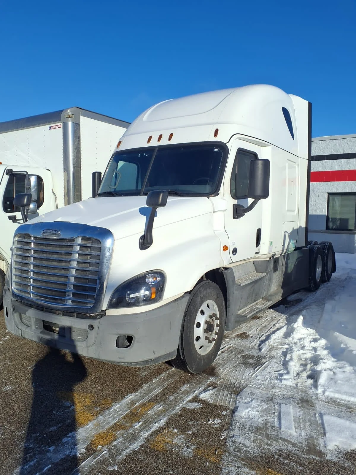 2019 Freightliner Cascadia in Cleveland, OH