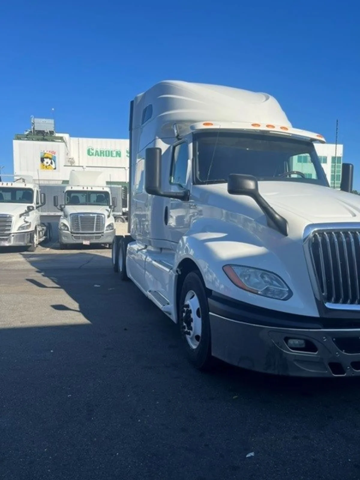 2019 International LT