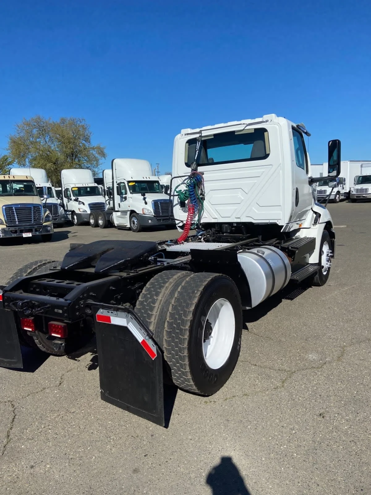 2019 International RH - image 4