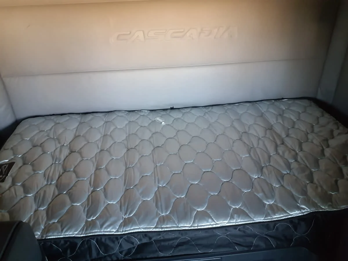 2020 Freightliner Cascadia - image 8