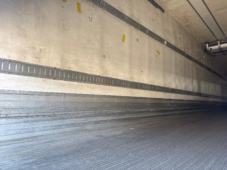 2017 Great Dane - image 10