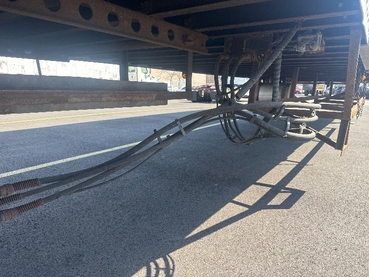 2017 Great Dane - image 5