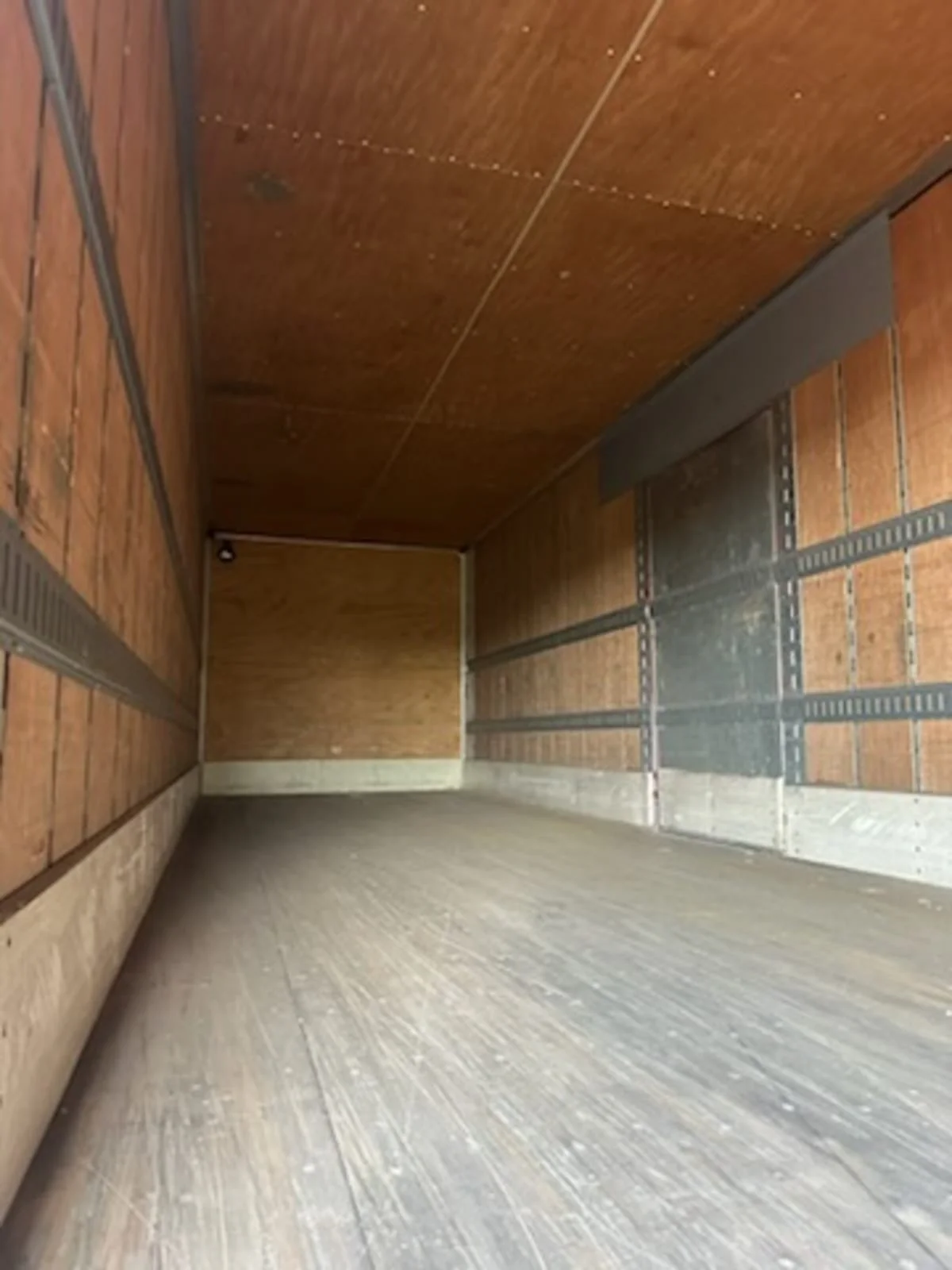 2011 Great Dane - image 7