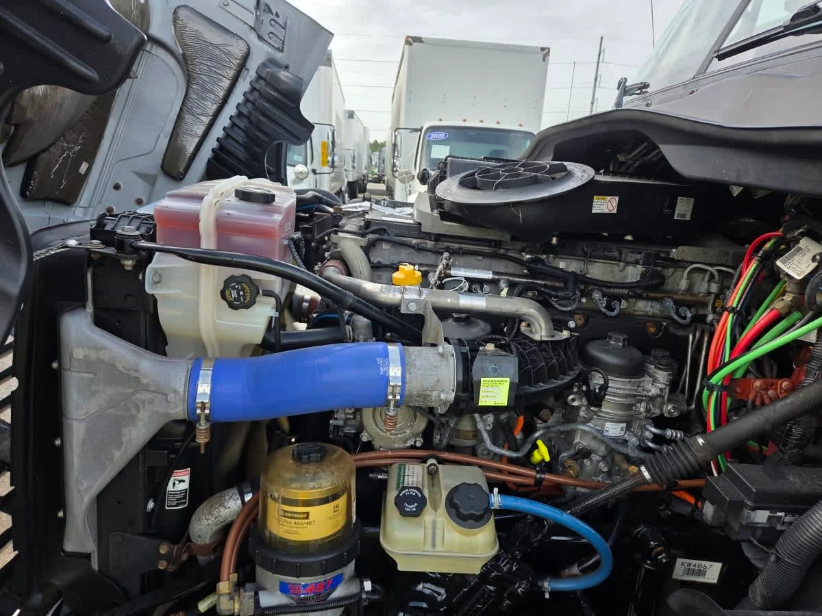 2019 Freightliner Cascadia in St. Rose, LA — photo 9