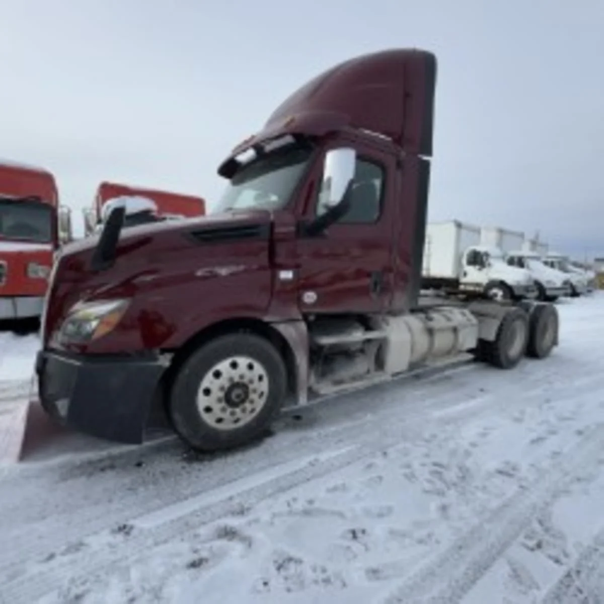 2019 Freightliner Cascadia in Syracuse, NY