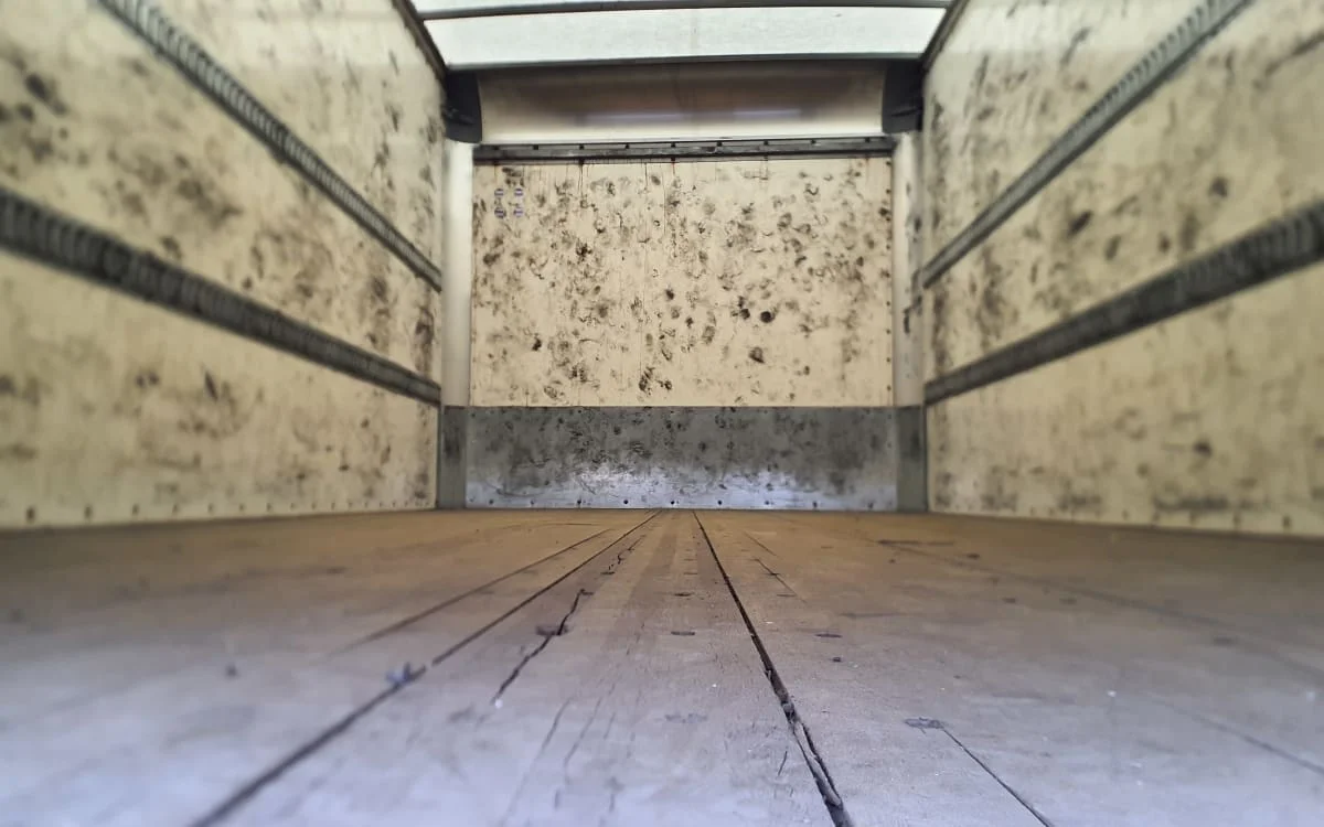 2021 International MV - image 8