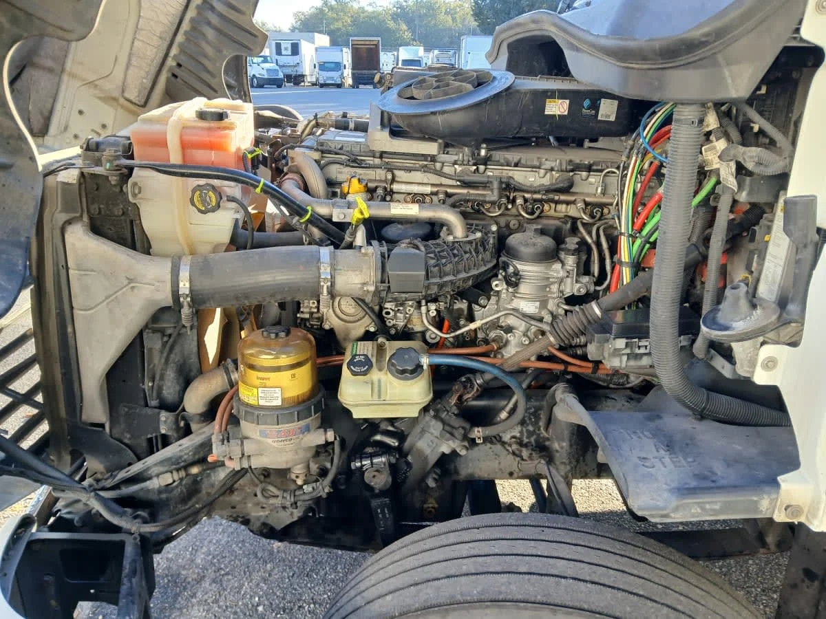 2019 Freightliner Cascadia in Jacksonville, FL — photo 8