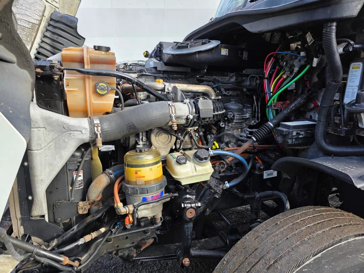 2019 Freightliner Cascadia in Bensalem, PA — photo 8