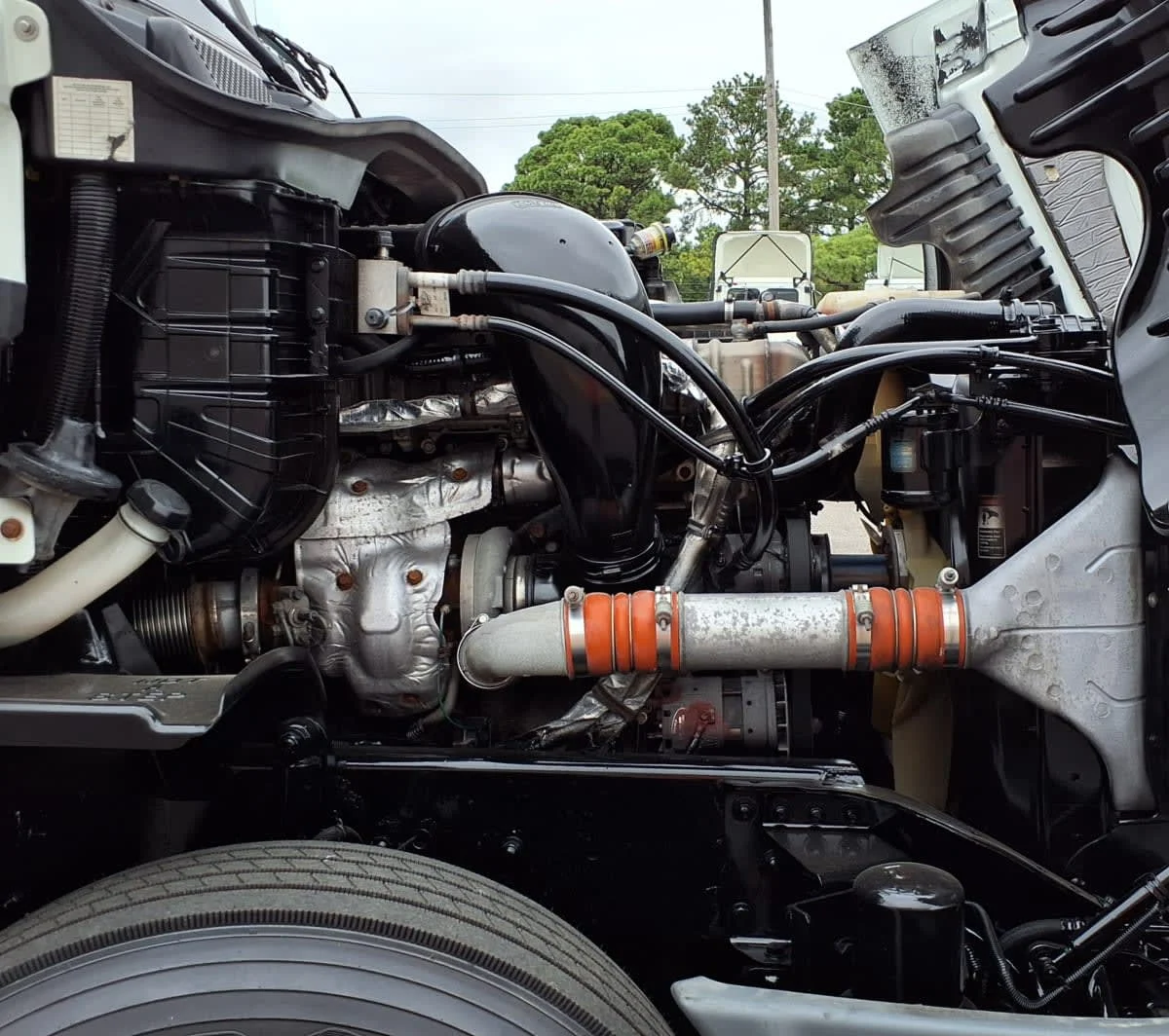 2020 Freightliner Cascadia in Memphis, TN — photo 15