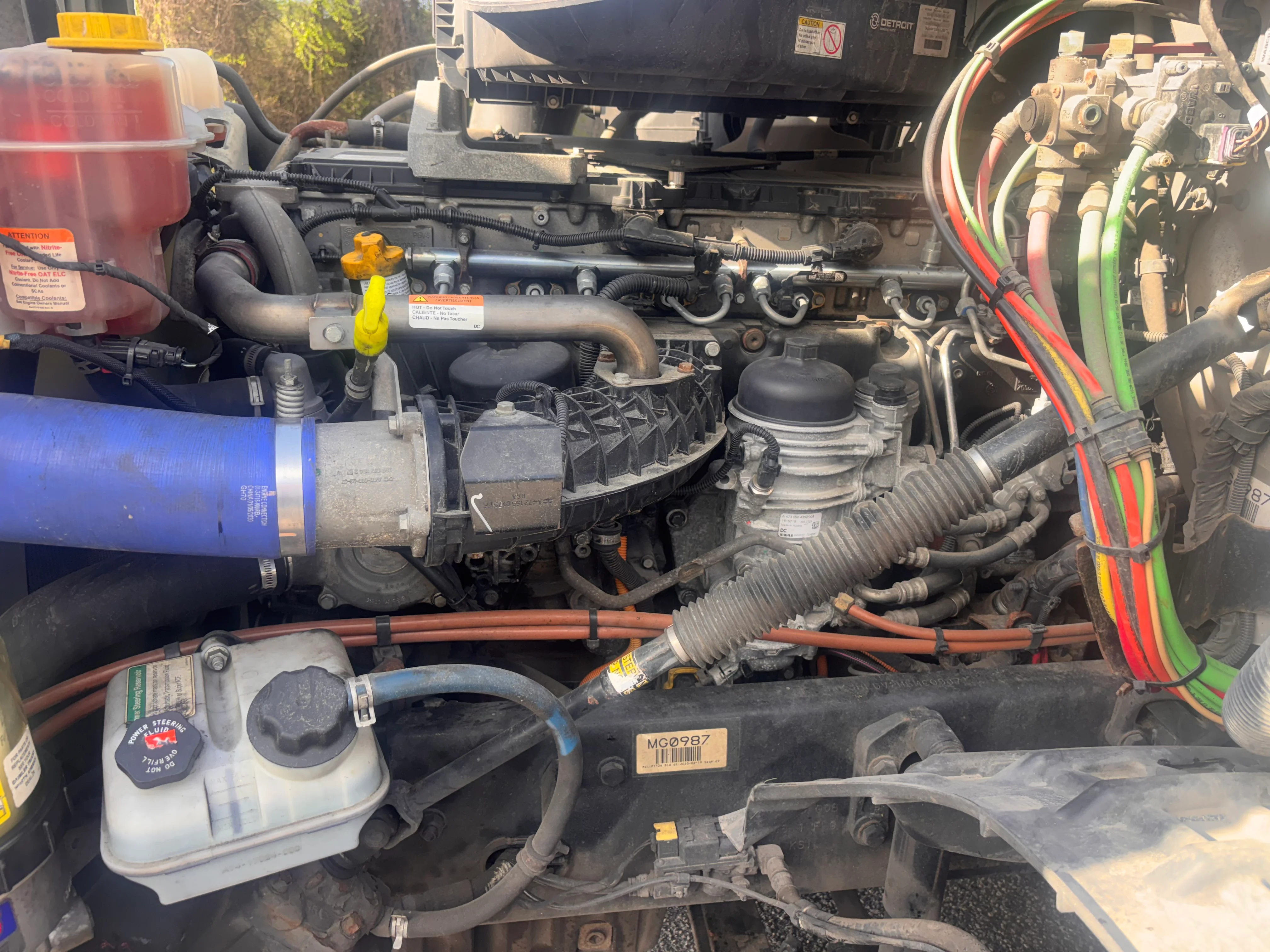 2021 Freightliner Cascadia - image 12