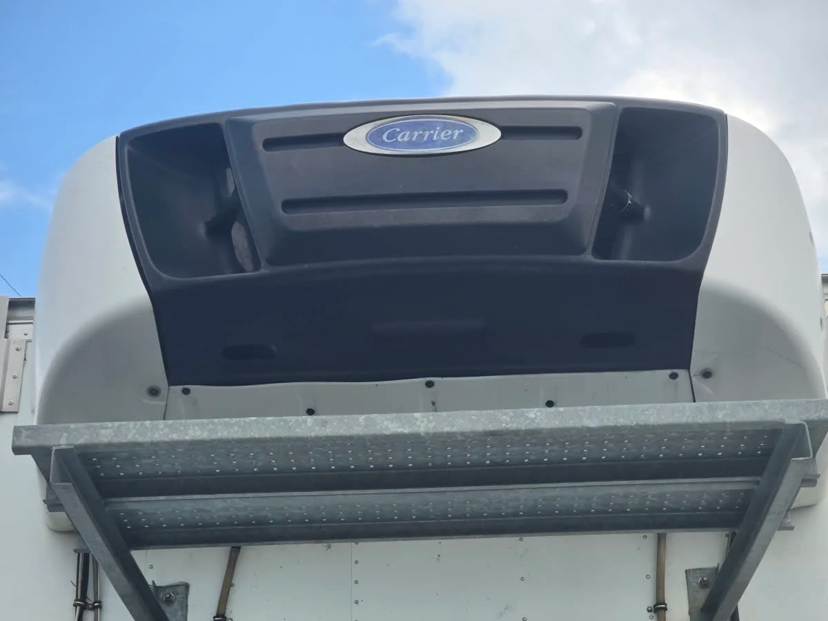 2020 International in Tampa, FL — photo 7