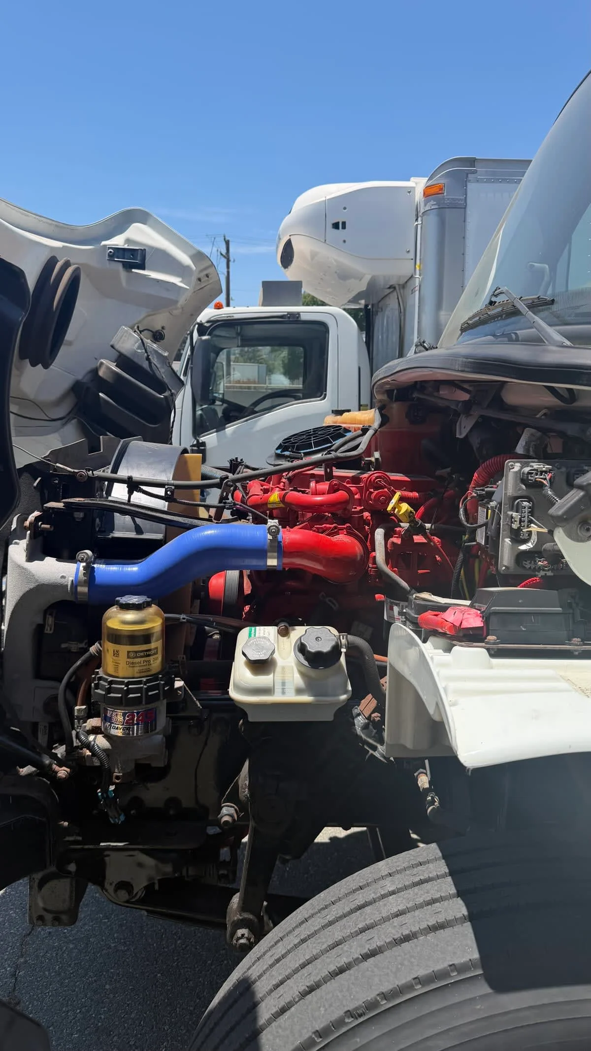 2019 Freightliner M2 106 in Pomona, CA — photo 9