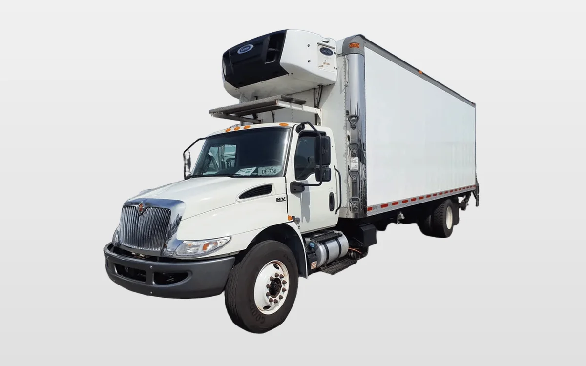 2020 International - image 1