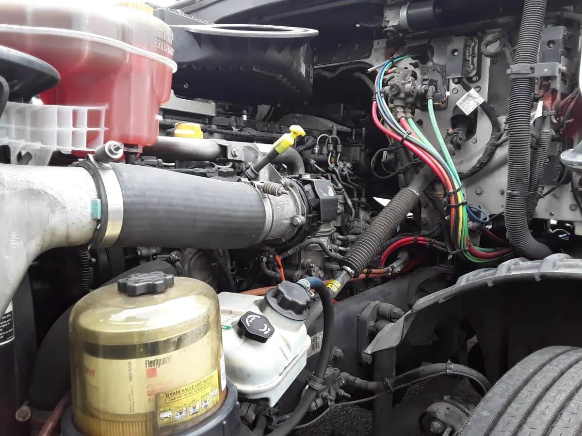 2019 Freightliner Cascadia in La Vergne, TN — photo 8