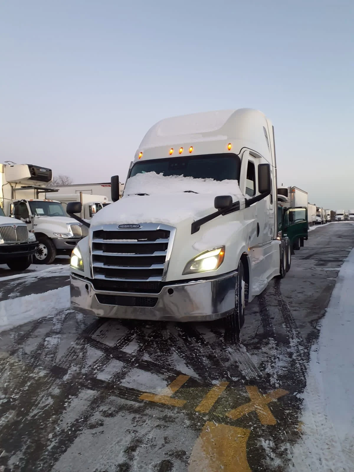 2021 Freightliner Cascadia in Bolingbrook, IL