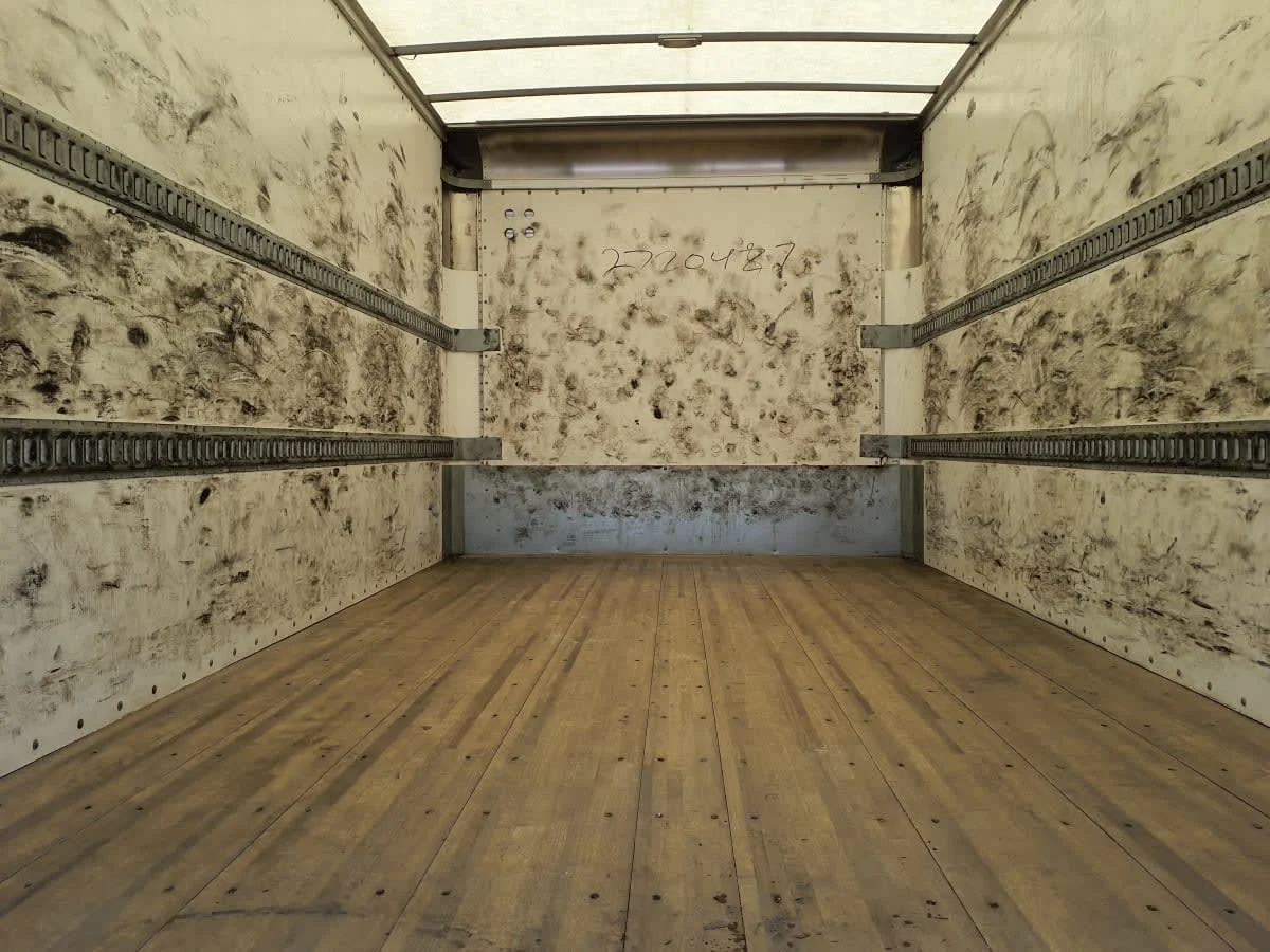 2020 International MV in Wayland, MI — photo 8