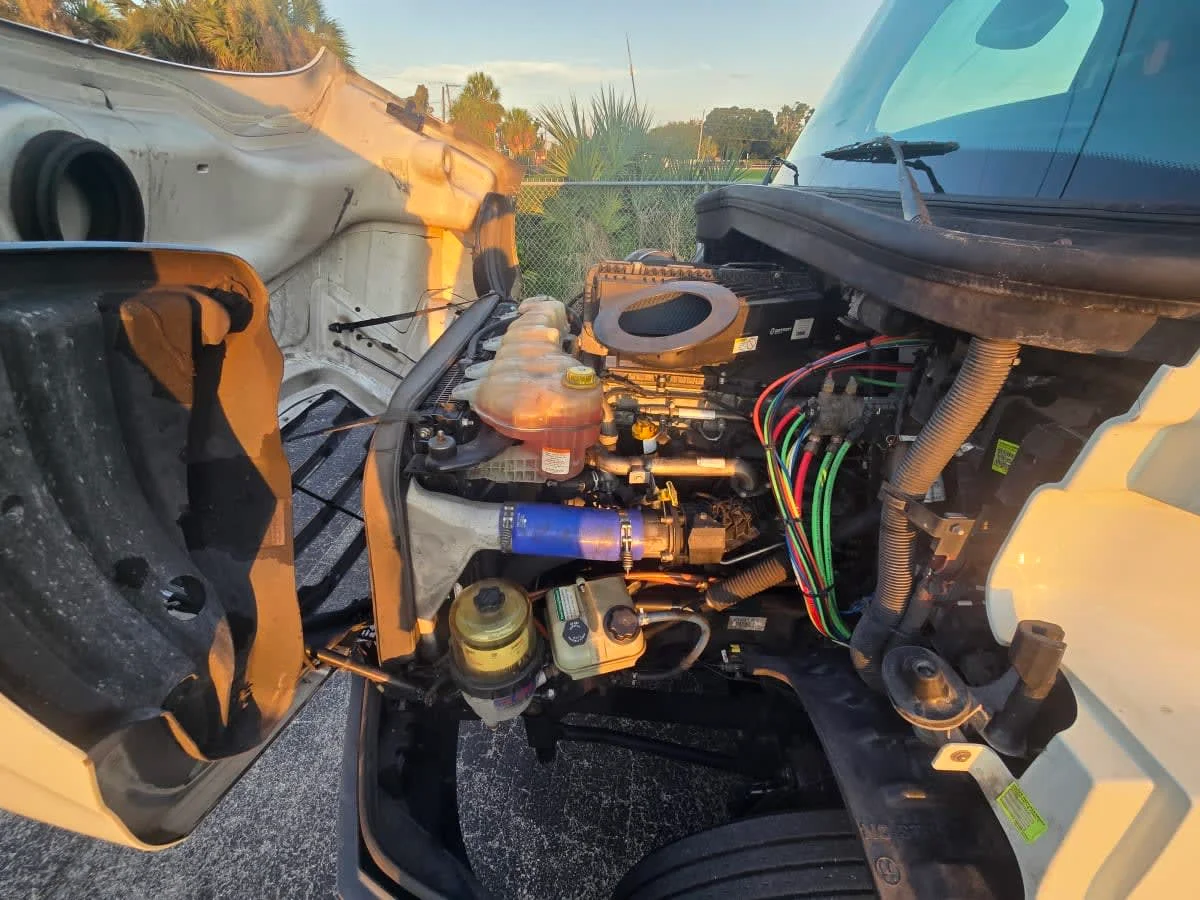 2019 Freightliner Cascadia in Tampa, FL — photo 8