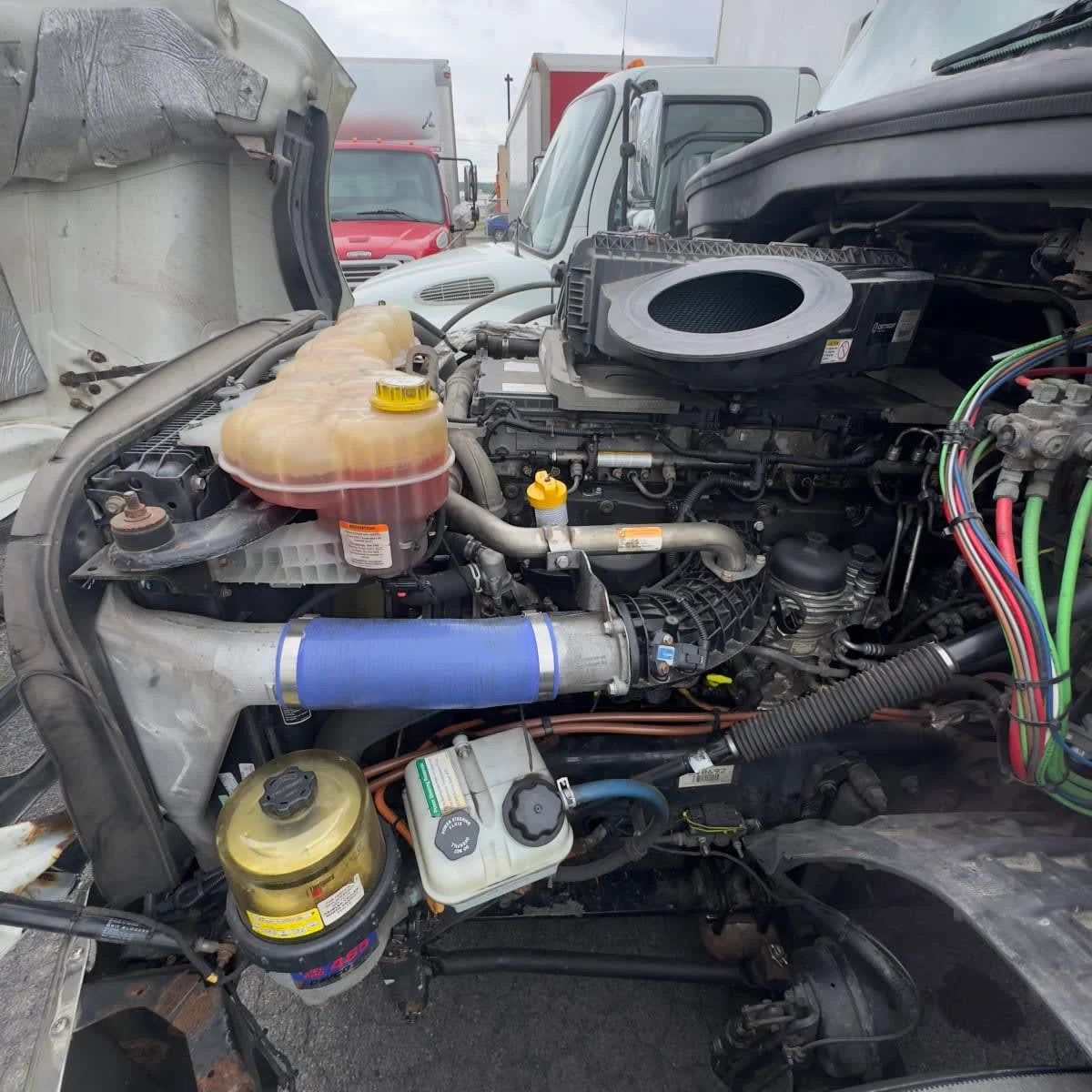2020 Freightliner Cascadia in Syracuse, NY — photo 9