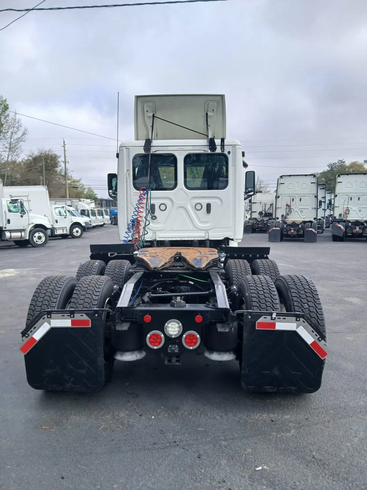 2019 Freightliner Cascadia in Jacksonville, FL — photo 5