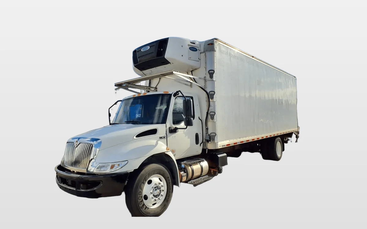 2020 International - image 1