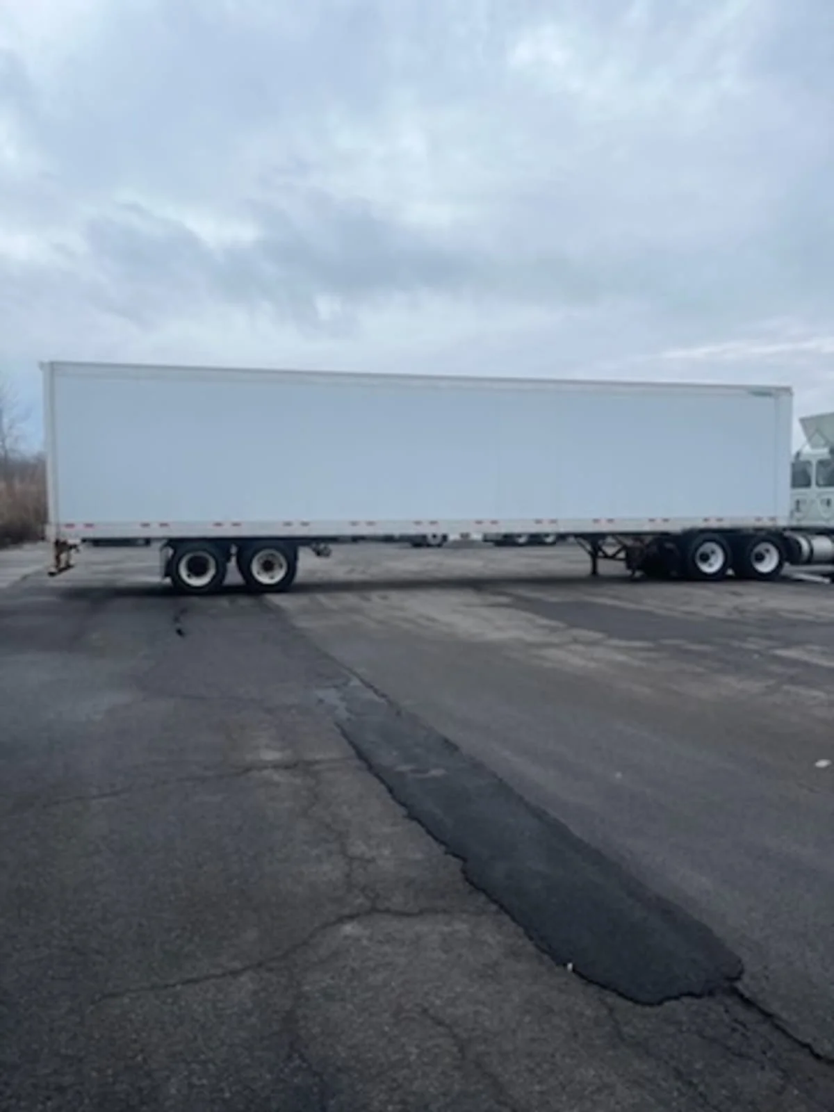 2009 Great Dane - image 1