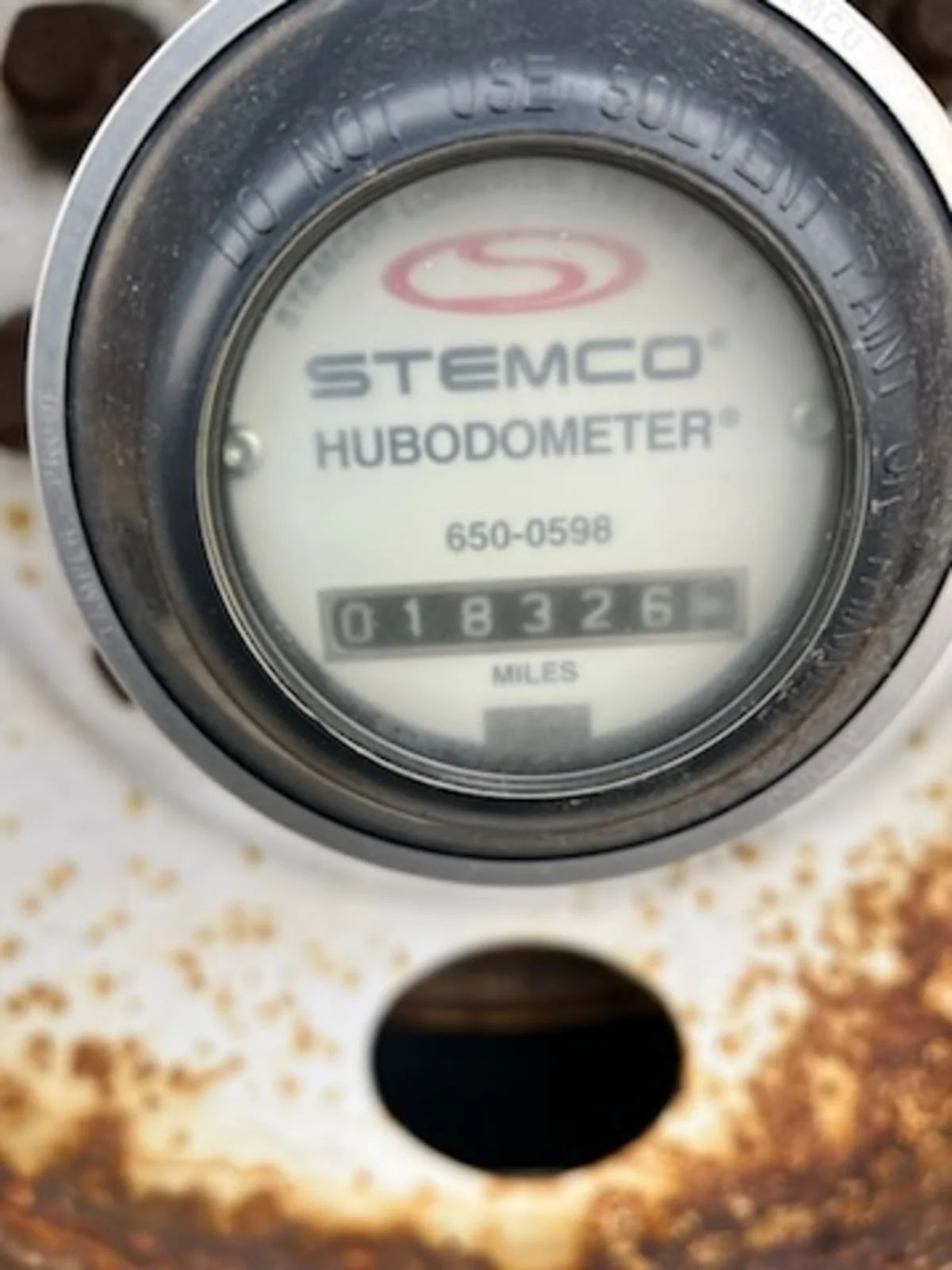 2009 Great Dane - image 6