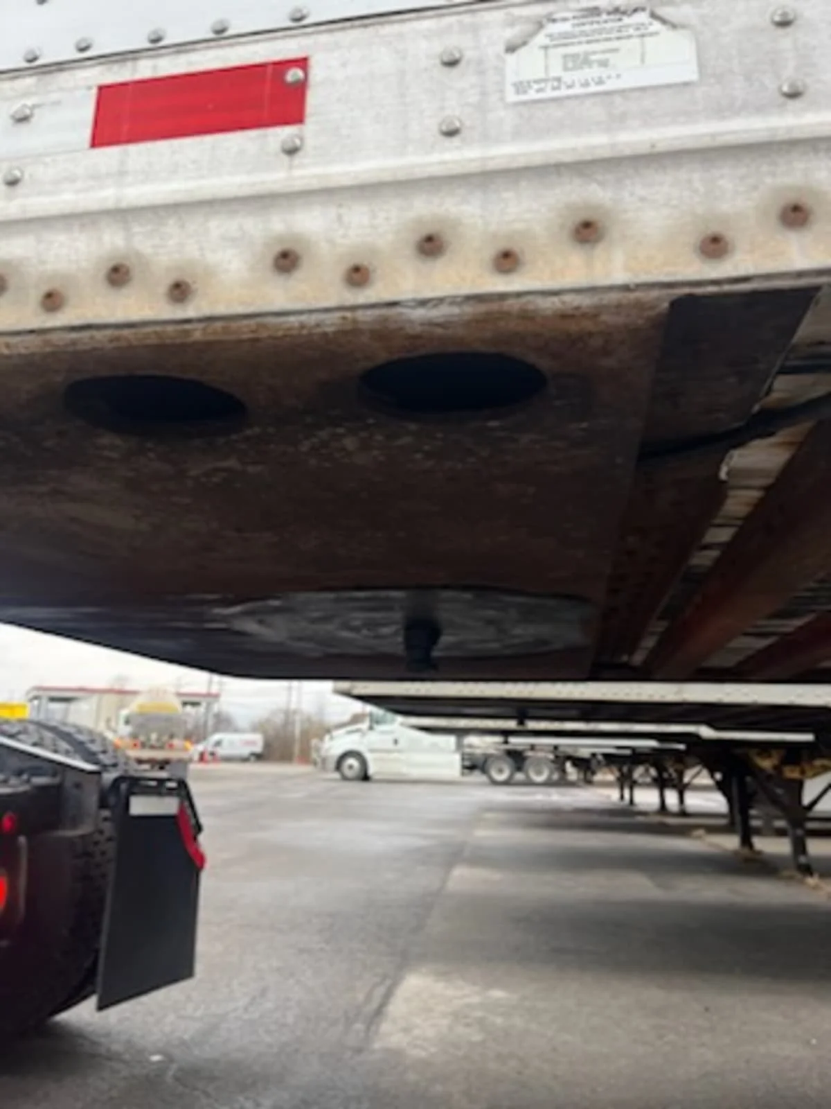 2009 Great Dane - image 4