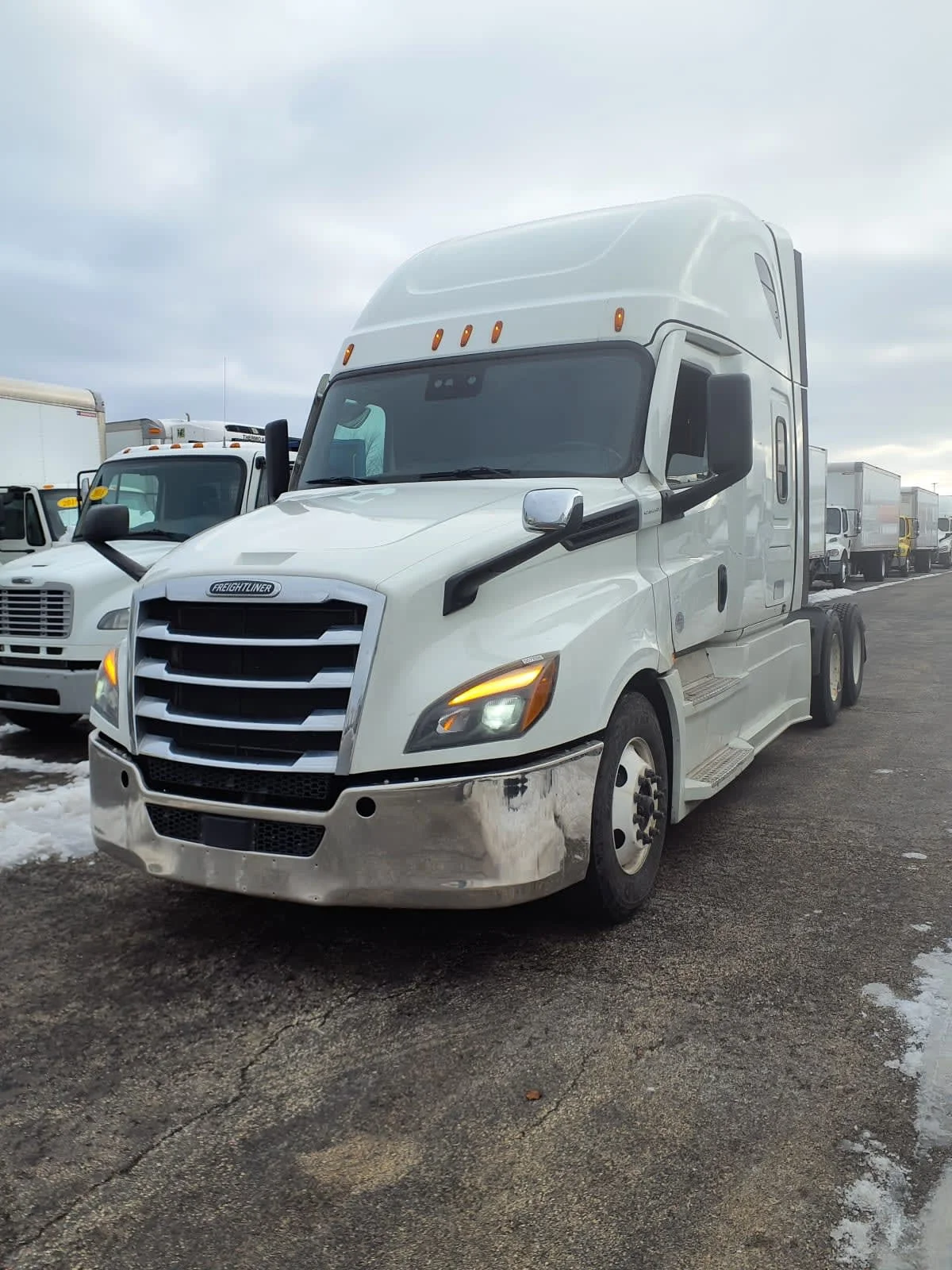 2021 Freightliner Cascadia in Bolingbrook, IL