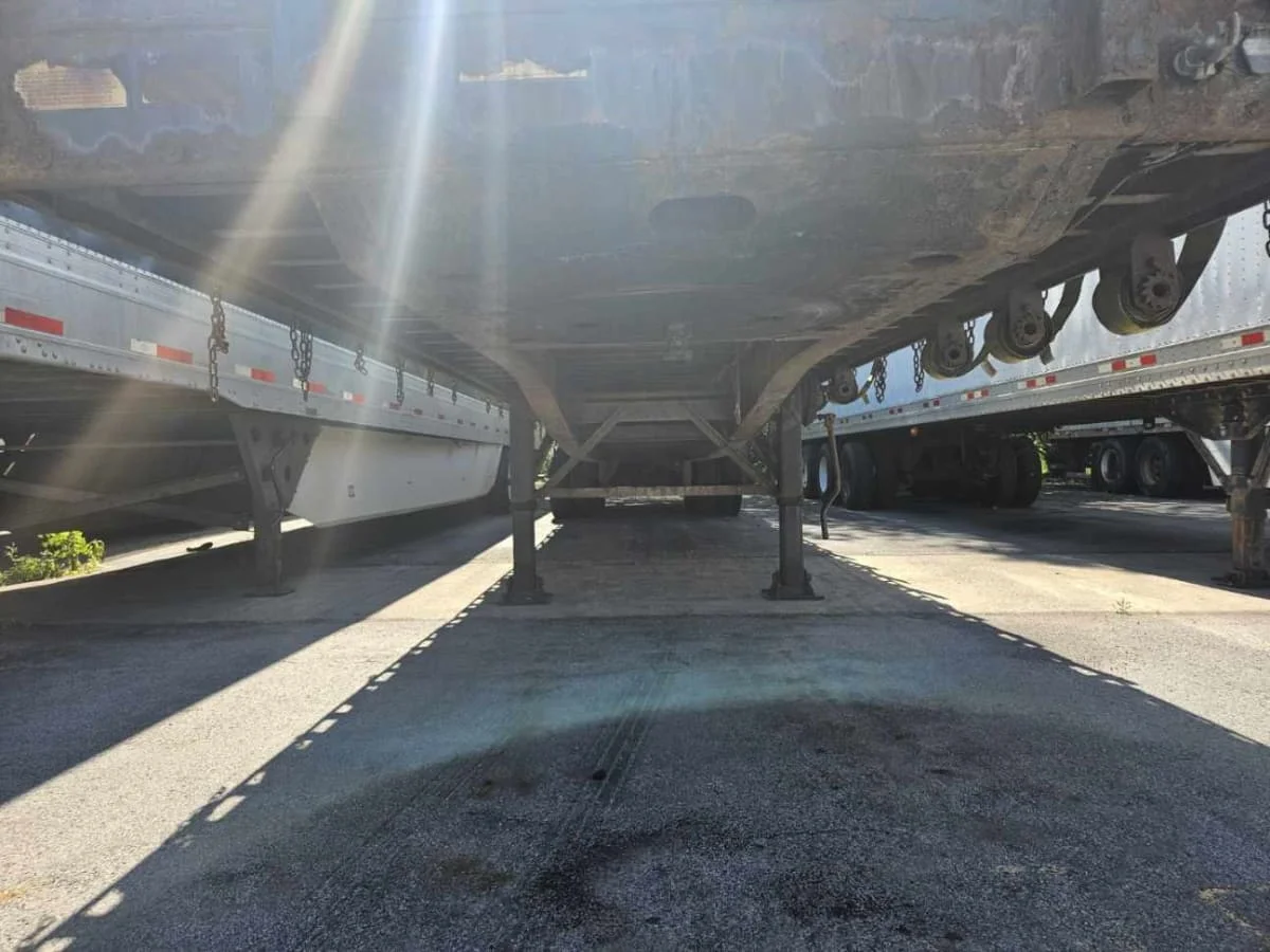 2015 Great Dane - image 3