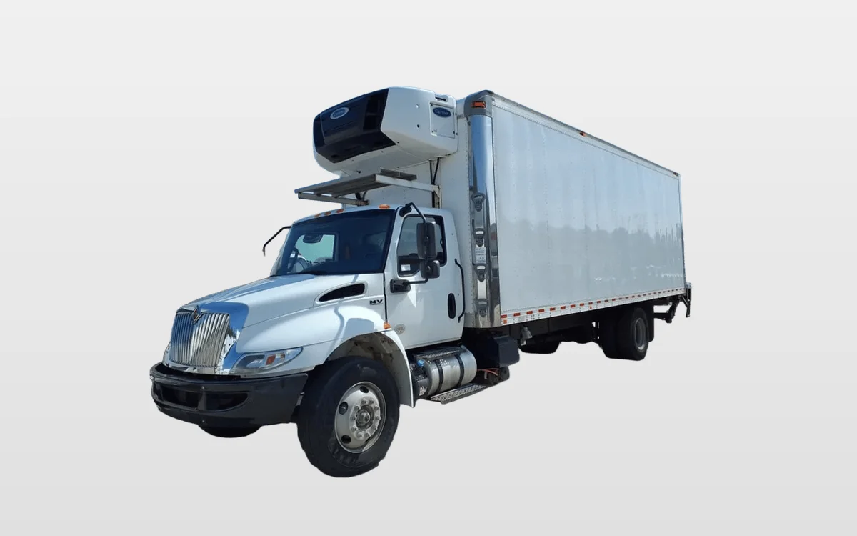 2019 International - image 1